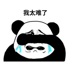 图片3.1.png