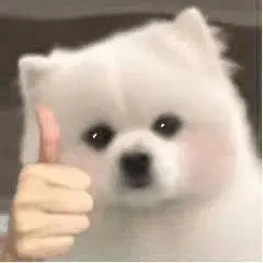 微信图片_20240804135924.png