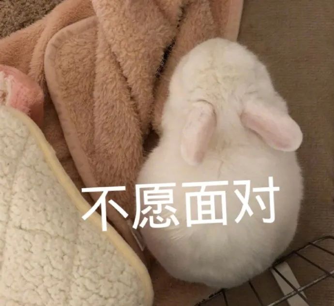 微信图片_20240807183357.jpg