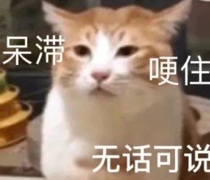 微信图片_20240808172635.jpg