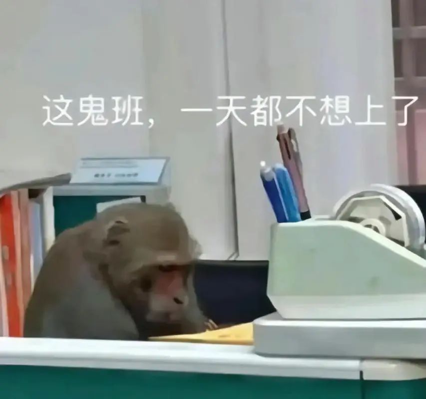 微信图片_20240809180700.jpg