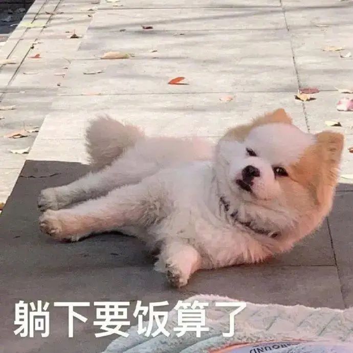 微信图片_20240812164927.jpg