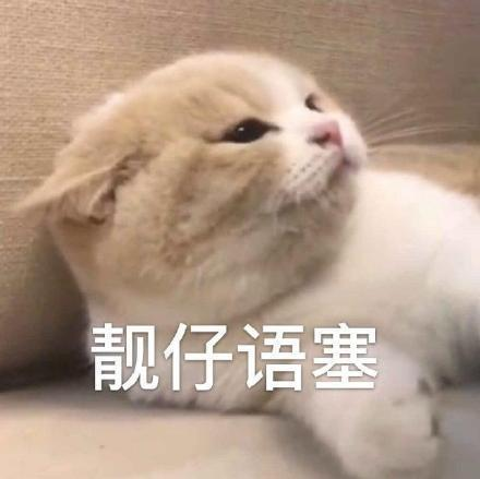 微信图片_20240812164930.png