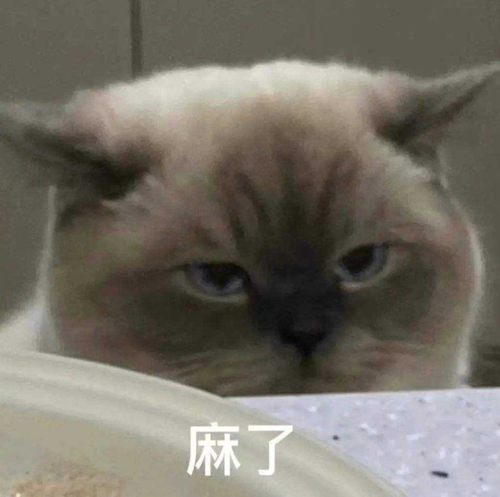 微信图片_20240815171206.jpg