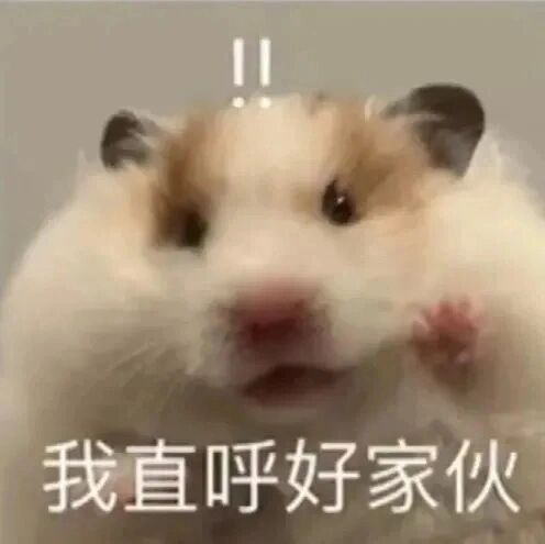 微信图片_20240821214456.png