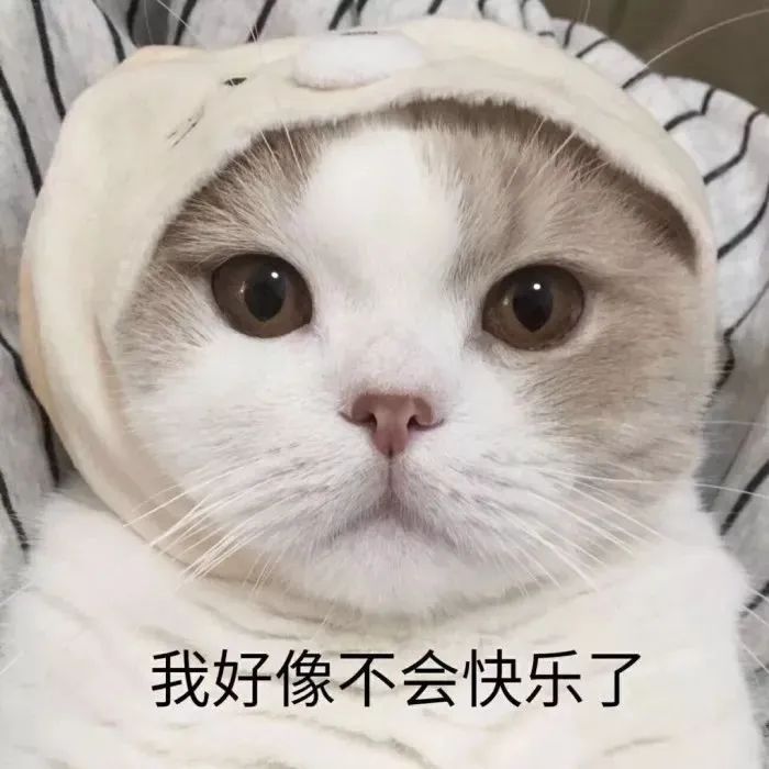 微信图片_20240823145500.jpg