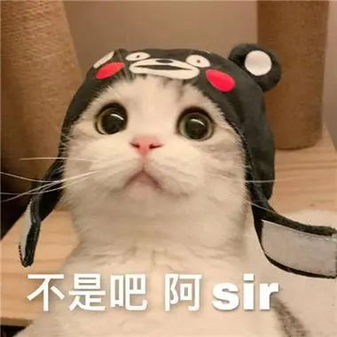 微信图片_20240824095855.jpg