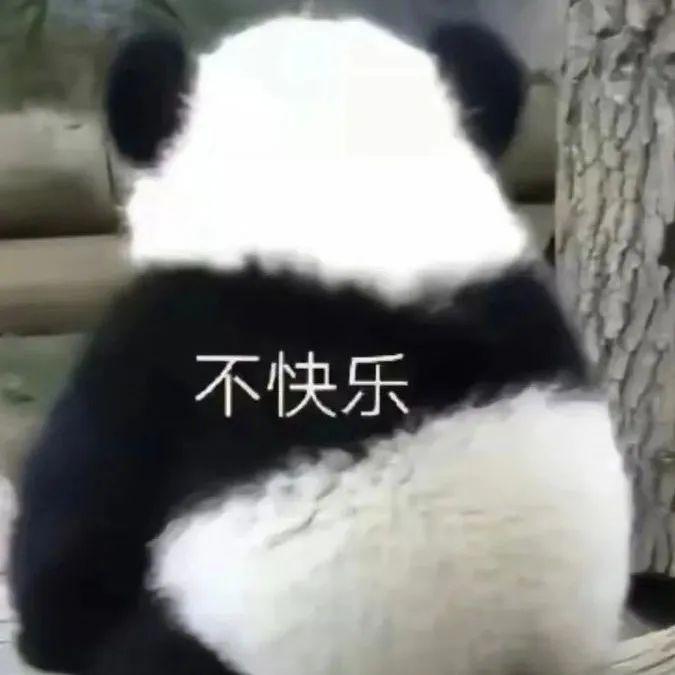微信图片_20240830155704.jpg
