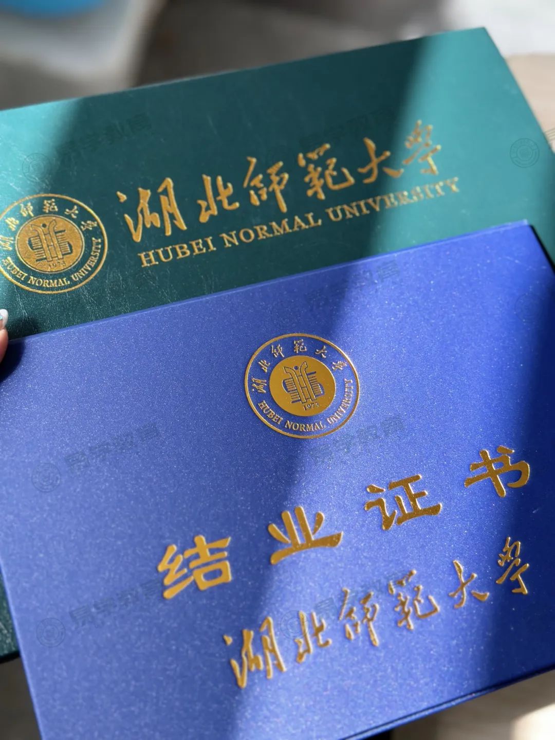 微信图片_20240903160825.jpg