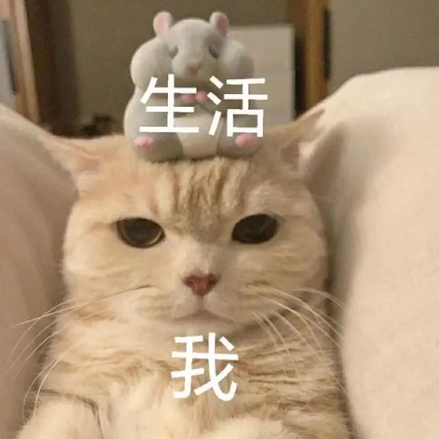 微信图片_20240916201535.jpg